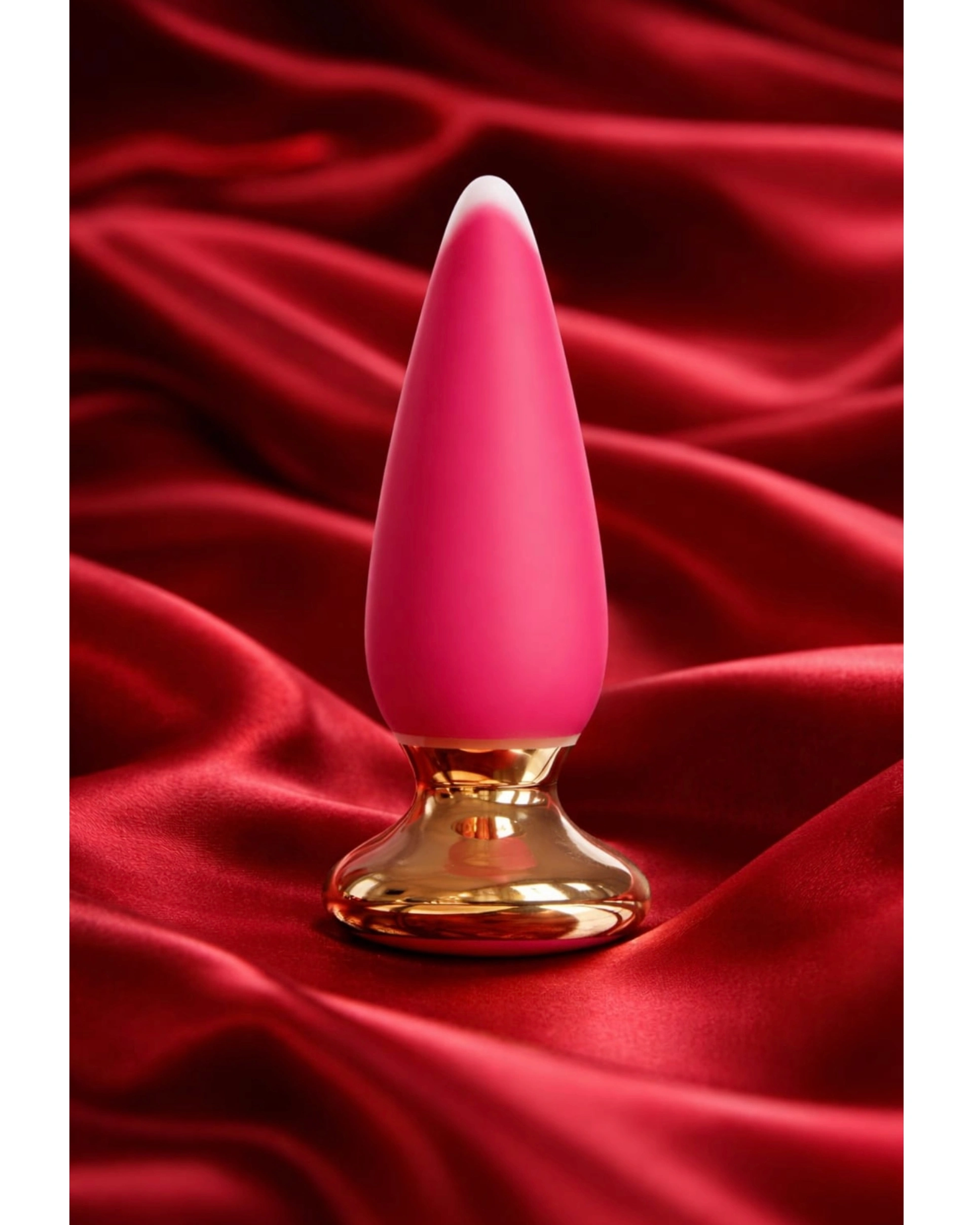 Plug Anal Vibrador Premium